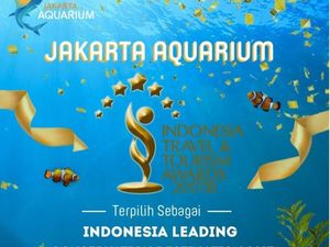 Belum Genap Setahun, Jakarta Aquarium Sabet Penghargaan Bergengsi Belum Genap Setahun, Jakarta Aquarium Sabet Penghargaan Bergengsi