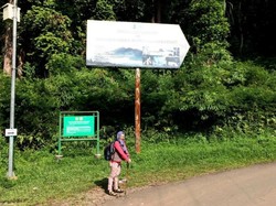 Weekend Ini, Yuk Jelajahi Hutan Gunung Halimun