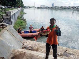 Keseruan Warga Panen Ikan di Danau Sunter 2 Keseruan Warga Panen Ikan di Danau Sunter 2