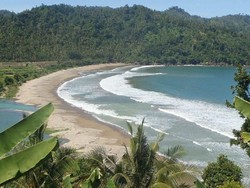 Ini Surganya Para Surfer di Malang Selatan