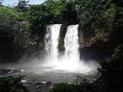 7 Tempat Wisata Alam yang Indah di Pemalang, dari Kebun Teh hingga Pantai