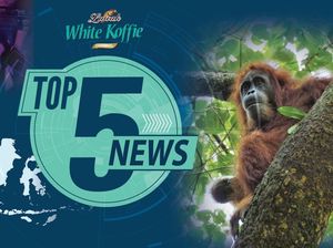 3 Meninggal Akibat Gempa 6,9 SR, Pengacara Sebut Novanto Masih Lemas