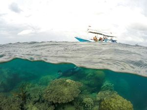 Weekend ke Karimunjawa, Asyiknya Ngapain Aja?
