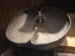 Kisah Kelapa Penawar Racun Peninggalan Raja Pertama Cirebon