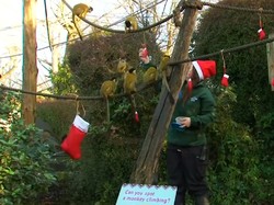 Penghuni Kebun Binatang London Ikut Rayakan Natal