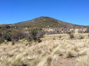 Fakta-fakta Mahasiswi Undip Meninggal di Gunung Lawu dan Kronologinya