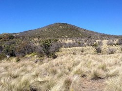 Fakta-fakta Mahasiswi Undip Meninggal di Gunung Lawu dan Kronologinya