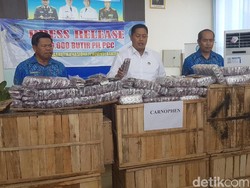BNN Temukan 246 Ribu Pil Zenith di Rangkasbitung