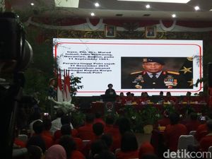 Irjen Murad Jadi Cagub Maluku, Polri: Bisa Mundur atau Pensiun Dini Irjen Murad Jadi Cagub Maluku, Polri: Bisa Mundur atau Pensiun Dini