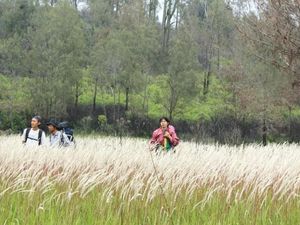 Pendakian Menantang di Argopuro