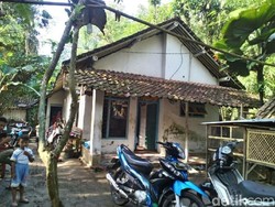 Perempuan Meninggal di Jember Sering Mengais Padi yang Sudah Panen