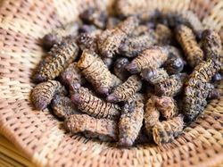 Ini 5 Hidangan Natal Paling Aneh dan Unik di Dunia