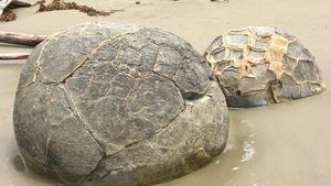 Foto: Pantai Selandia Baru yang Punya Telur Naga