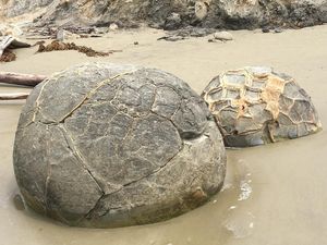 Foto: Pantai Selandia Baru yang Punya Telur Naga