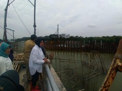 Wujudkan Kebun Raya Mangrove, Risma akan Temui Yayasan Kebun Raya