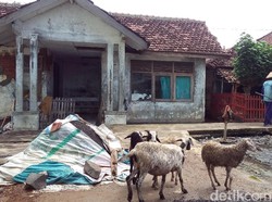 Puskesmas Disebut Seperti Kandang Kambing, Kades: Pelayanannya Mandeg