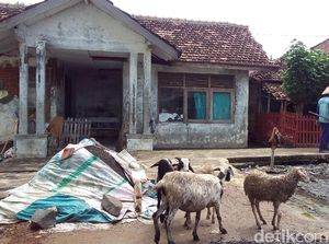 Puskesmas Disebut Seperti Kandang Kambing, Kades: Pelayanannya Mandeg Puskesmas Disebut Seperti Kandang Kambing, Kades: Pelayanannya Mandeg