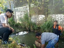 Berita Harian Mayat bayi