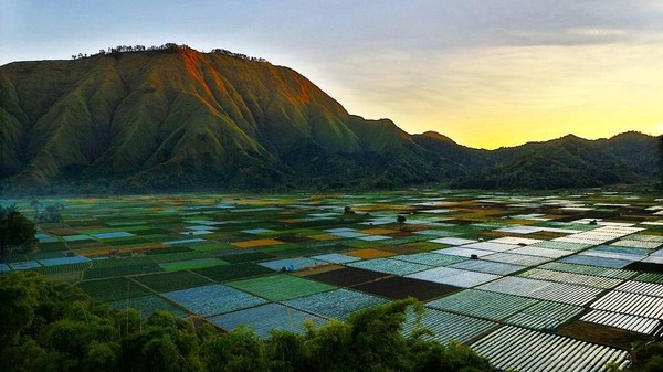 Mengenal Desa Adat Beleq Asal Usul Sembalun Lombok