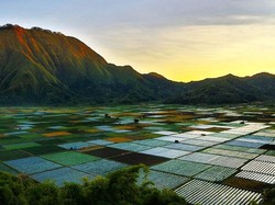 Wisata Bukit Selong Sembalun: Lokasi, Rute, Harga Tiket, Jam Operasional