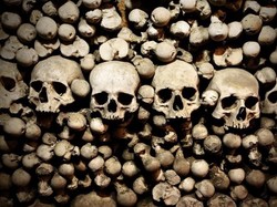 24 Tengkorak Manusia yang Akan Diselundupkan ke Belanda Diamankan