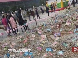 Ingin Lihat Pameran Kupu-kupu, Warga di China Malah Kena Tipu