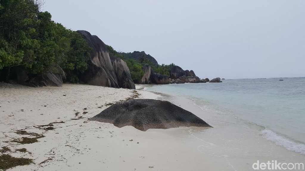 Foto: Ajaibnya Pulau La Digue dari Seychelles, Afrika Foto: Ajaibnya Pulau La Digue dari Seychelles, Afrika