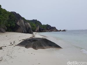 Foto: Ajaibnya Pulau La Digue dari Seychelles, Afrika