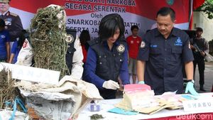 Foto: Pemusnahan Barang Bukti Narkoba di Polda Jatim