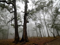 Lihat Ini! NTT Tak Hanya Eksotis