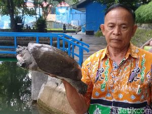 Aneka Cerita Bulus Penghuni Sendang Tawun Ngawi