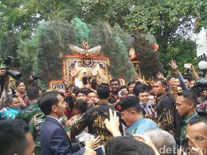 Sindir KLHK, Jokowi Ingin Indonesia Tiru Norwegia soal Kehutanan