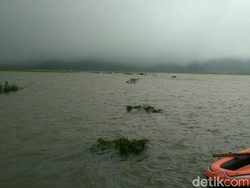 Terendam Banjir, 385 Hektar Sawah di Banten Gagal Panen