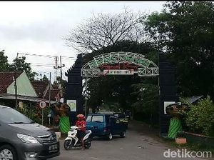 Kisah di Balik Ribuan Bulus di Wisata Sendang Tawun Ngawi Kisah di Balik Ribuan Bulus di Wisata Sendang Tawun Ngawi