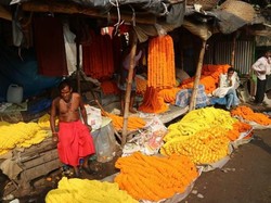 Wajib ke Kolkata, Ini yang Akan Traveler Dapat