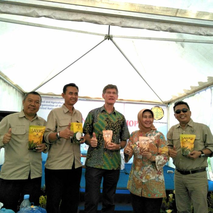 Kementan Gandeng FAO untuk Kembangkan Aneka Pangan Sagu (Dok. Ditjen Pangan)