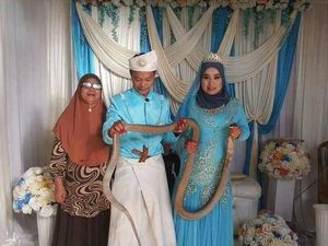 Ngeri! Pengantin Wanita Buat Persembahan dengan Ular Kobra di Pernikahannya