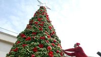 Unik! Ada Pohon Natal Terbuat dari Pisang di Lebanon