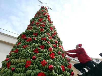Unik! Ada Pohon Natal Terbuat dari Pisang di Lebanon