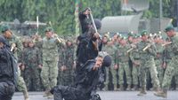 Ngeri! Saat Prajurit Kostrad Pamer Makan Kobra di Depan Panglima
