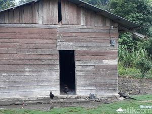 Jokowi Bakal Resmikan Pemasangan Listrik 74 Desa di Papua