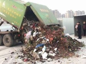Petugas Temukan Cincin Rp 217 Juta di Tumpukan 13 Ton Sampah Petugas Temukan Cincin Rp 217 Juta di Tumpukan 13 Ton Sampah