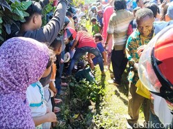 Ada Warga Nyemplung ke Got Saat Antusias Sambut Jokowi di Nabire