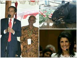 AS Gunakan Veto Soal Palestina, Jokowi Nostalgia di Kampus