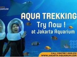 Rasakan Sensasi Menyelam Bareng Hiu di Wahana Baru Jakarta Aquarium