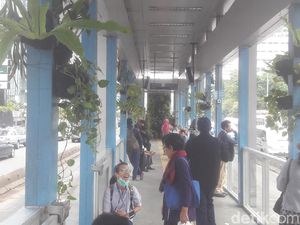 Dihiasi Tanaman, Halte TransJakarta Tosari Tampak Asri