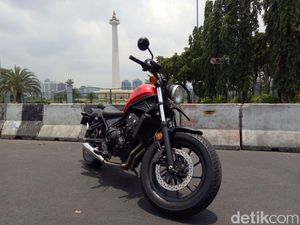 Moge Si Pemberontak yang Bersahabat untuk Kalangan Urban