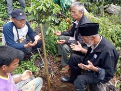Aksi Pawang Usir Harimau yang Masuk Kebun Warga Aceh