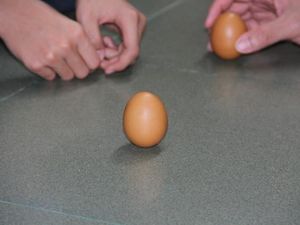 Ajaibnya Pontianak, Ada Telur Bisa Berdiri Tegak