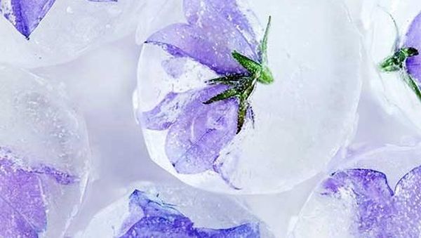 Cantik! Es Batu dengan Tambahan Bunga hingga Buah yang Rasanya Unik